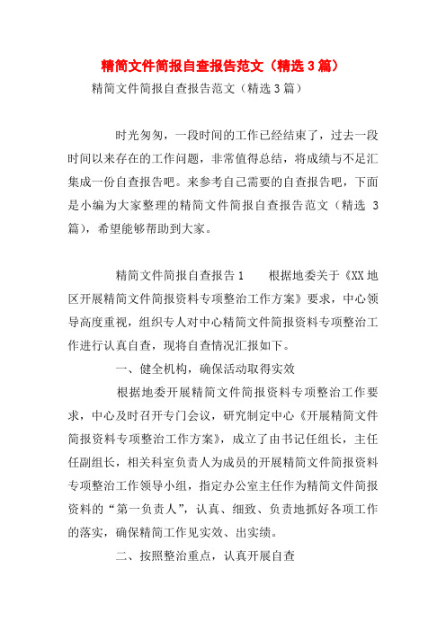 精简文件简报自查报告范文(精选3篇)