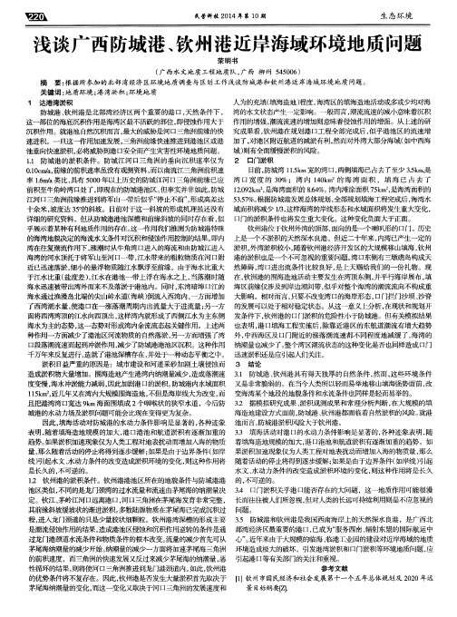 浅谈广西防城港、钦州港近岸海域环境地质问题