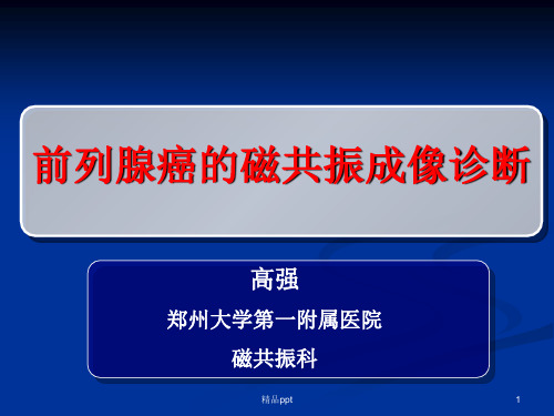 前列腺的MR检查ppt课件
