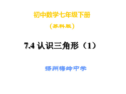 苏教版七下7.4认识三角形(1)