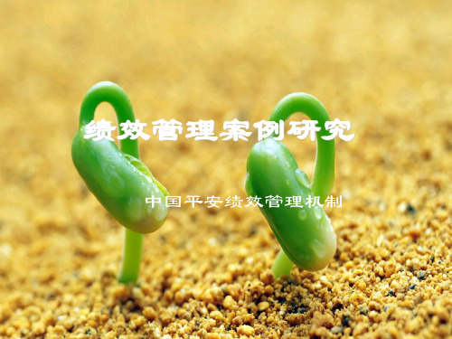 绩效管理案例——中国平安幻灯片PPT