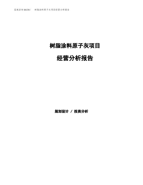 树脂涂料原子灰项目经营分析报告(项目总结分析)