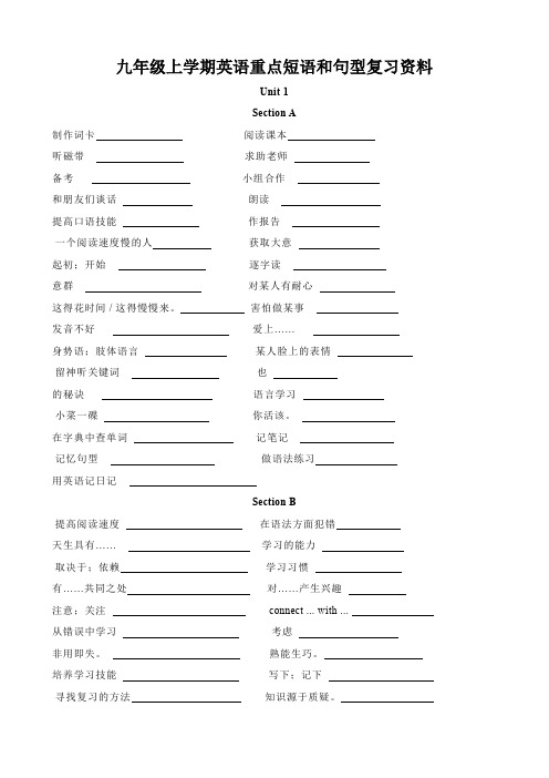 人教新目标九年级上学期英语重点短语和句型复习资料