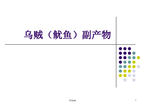 《乌贼鱿鱼粉的》PPT课件