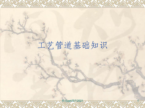 工艺管道基础知识ppt课件