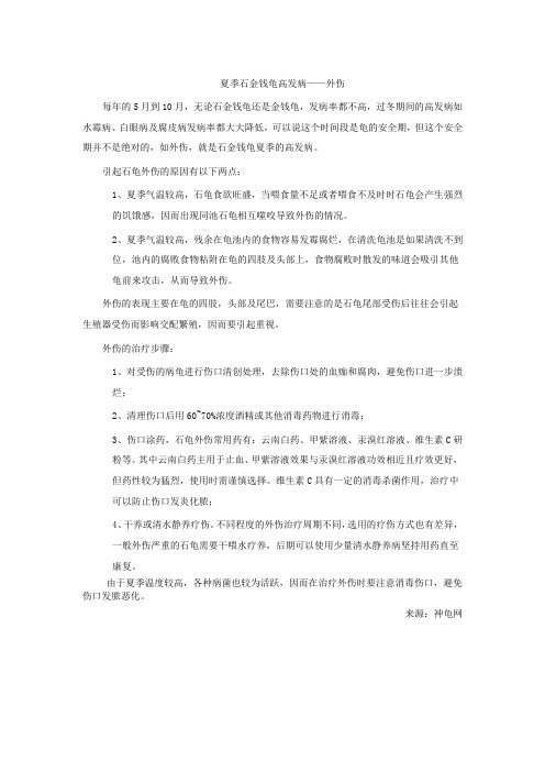 夏季石金钱龟高发病——外伤