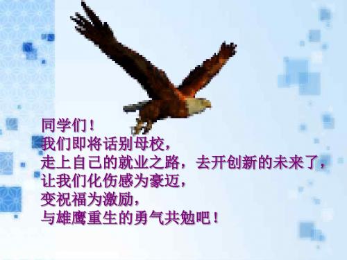 就业准备PPT课件 人教课标版