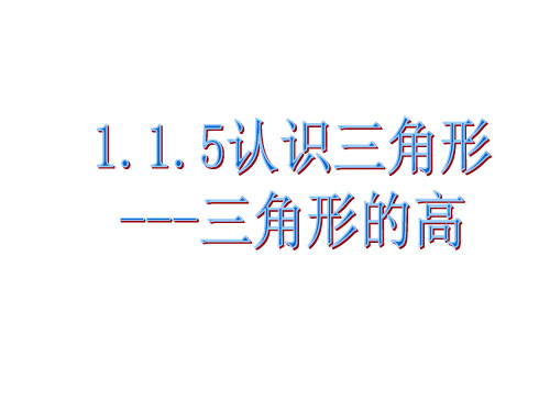 +2023—2024学年鲁教版(五四制)数学七年级上册1