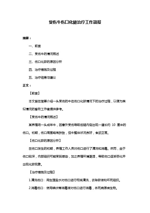 受伤牛伤口化脓治疗工作简报