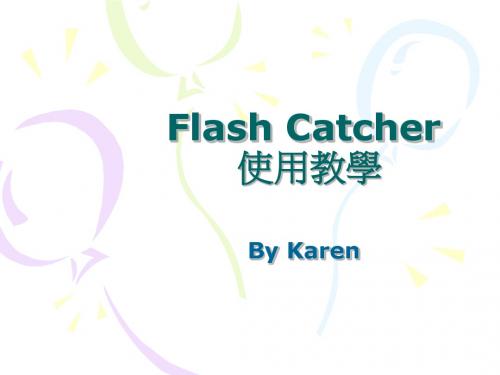 flash catcher使用教学