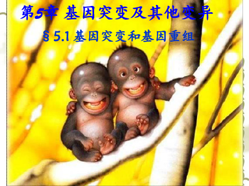 基因突变和基因重组、染色体变异一轮复习(自己整理)模板(1)PPT课件