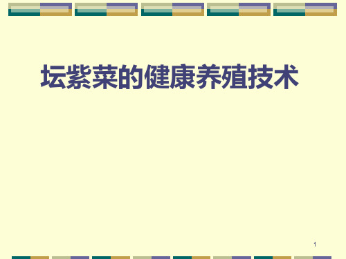 海藻的现代养殖技术PPT课件