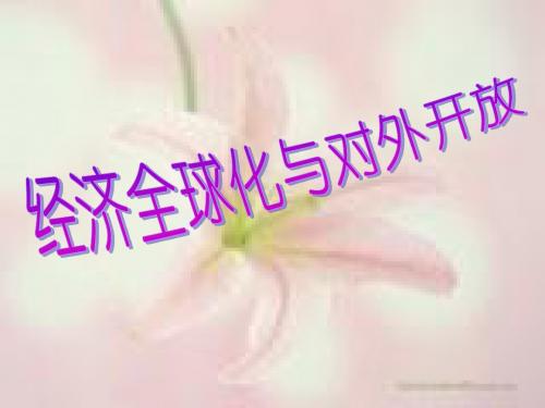 经济全球化与对外开放