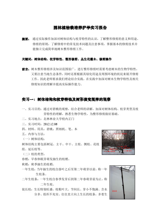 北林冬季园林植物栽培养护学实习报告