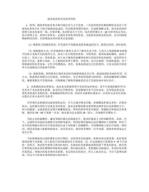 如何饲养海水观赏鱼