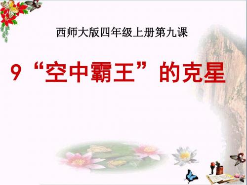 《“空中霸王”的克星》 精品PPT课件2(23张)