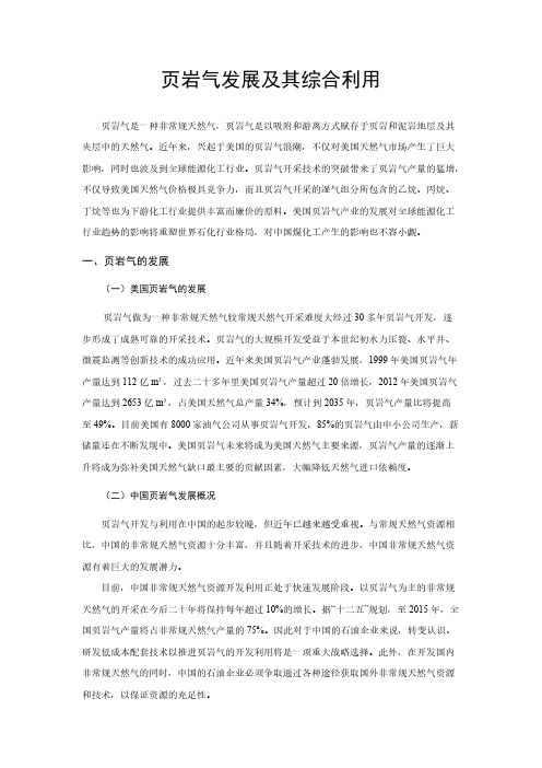 页岩气发展及其综合利用