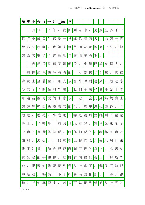高一叙事作文：卷毛小传(一)_900字