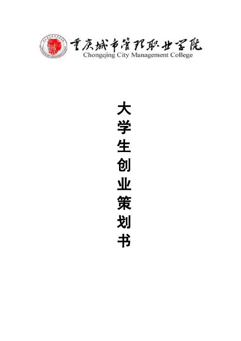 DIY创业计划书 2