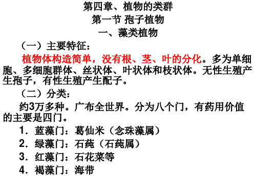 药用植物学：第六至十章  类群1