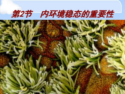 1.2内环境稳态的重要性-课件(人教版必修3)(共22张PPT)