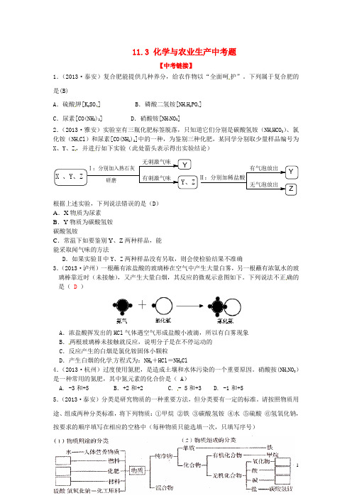 九年级化学下册 11.3 化学与农业生产中考题 (新版)鲁教版