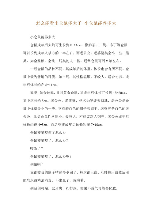 怎么能看出仓鼠多大了-小仓鼠能养多大
