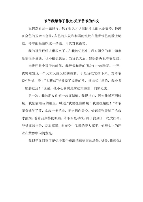 爷爷我想你了作文-关于爷爷的作文.doc