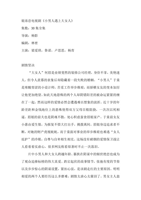 电视剧《小男人遇上大女人》剧情介绍