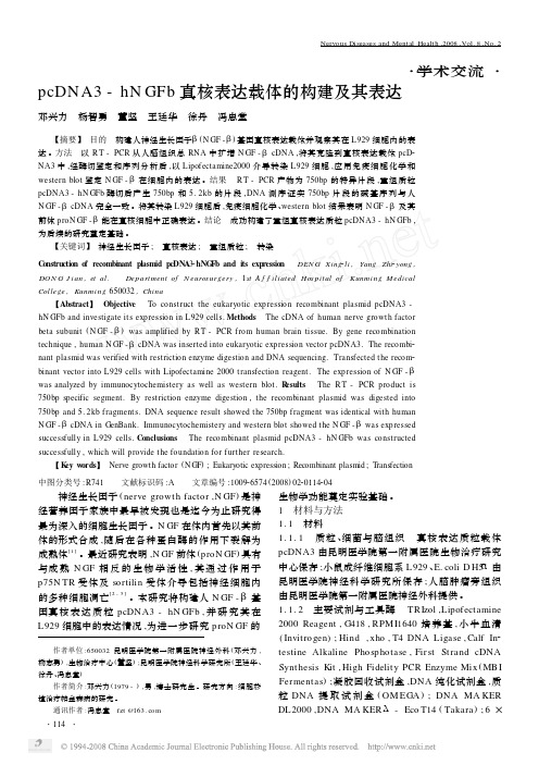 (2008)pcDNA3_hNGFb真核表达载体的构建及其表达