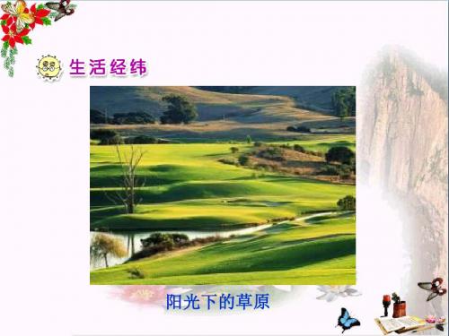 一年级品德与生活下册我们和太阳做游戏(一)优秀PPT课件之一新人教版
