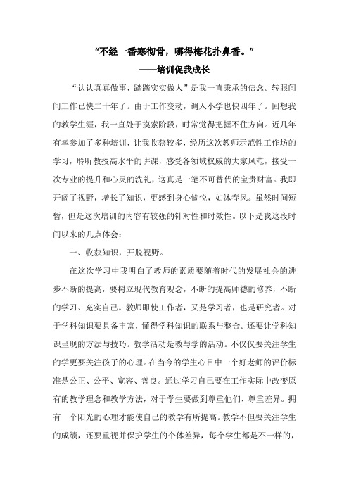 培训促我成长