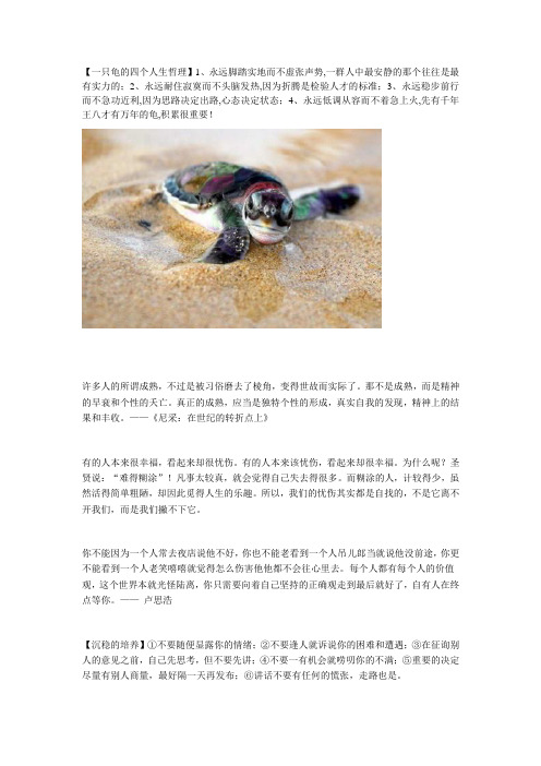 一只龟的四个人生哲理