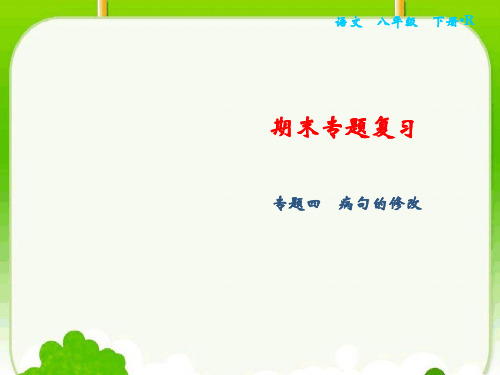 人教部编版-八年级语文下册课件：专题4 病句的修改
