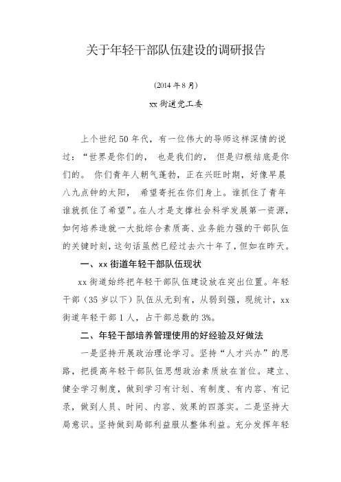 关于年轻干部队伍建设的调研报告