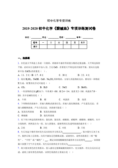 2019-2020学年初中化学《酸碱盐》专项训练模拟测试(含答案) (422)