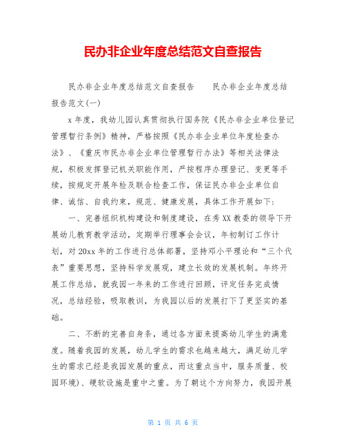 民办非企业年度总结范文自查报告