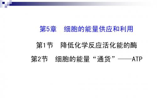 2015届高考生物一轮总复习课件：5.1-5.2降低化学反应活化能的酶 ATP