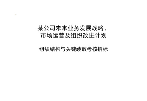 波士顿咨询组织架构与绩效设置经典咨询案