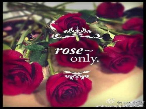 roseonly