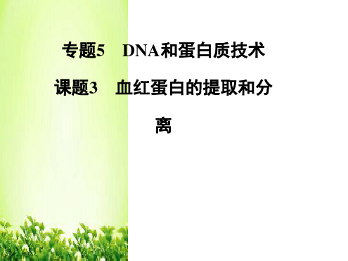 高中生物专题五课题3血红蛋白的提取和分离课件新人教版选修1