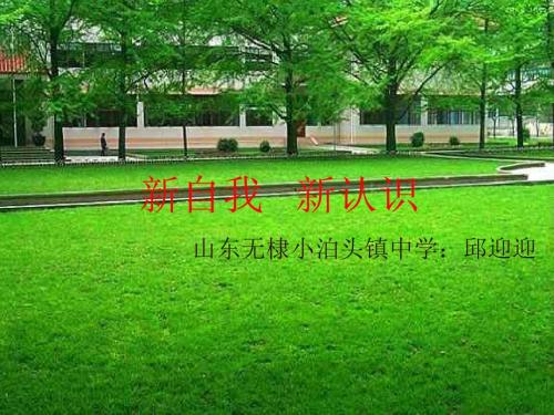 新自我新认识ppt优秀课件 人教版