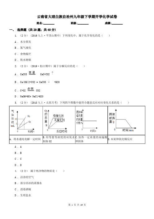 云南省大理白族自治州九年级下学期开学化学试卷