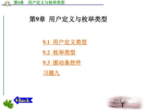 《vb编程技术》用户定义与枚举类型