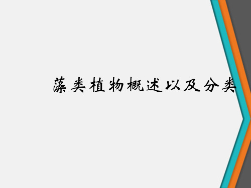 藻类植物概述以及分类