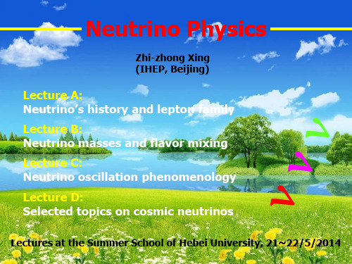 邢志忠-Neutrino Physics