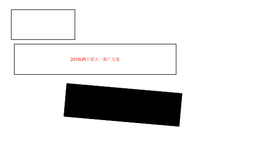 2015UR宁波天一推广方案