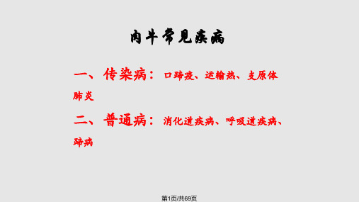 肉牛疾病的预防和治疗PPT课件