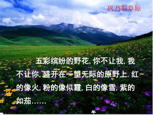 《巩乃斯的马》