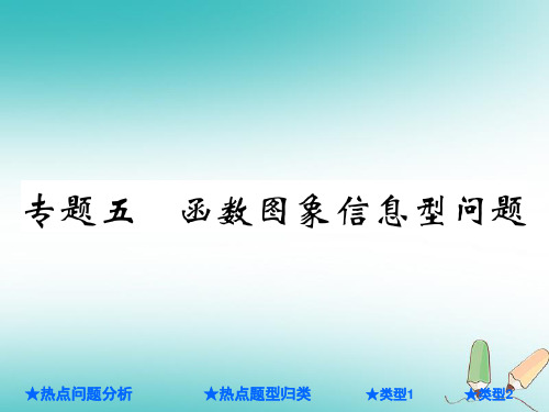 中考数学总复习第二部分重点专题提升专题五函数图象信息问题课件